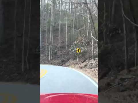 What is the best driving road in North Georgia? Definitely Wolf Pen Gap Road in a 2.5L NC Miata!