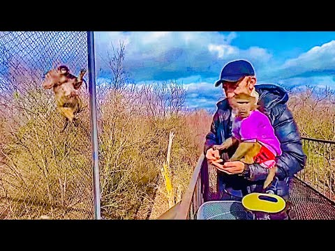 Вы посмотрите КАК Люська ведет себя встретившись со своими НАСТОЯЩИМИ ПАПОЙ и МАМОЙ! Умница!!!