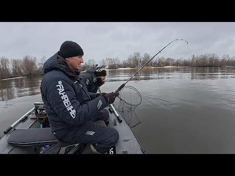 ВУДКА в ДУГУ! Він ПРЕ як торпеда! Сазани і карасі тягнуть нас у воду! Рибалка на боковий кивок!
