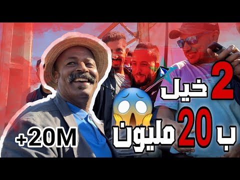 أجواء حماسية في سوق سطات 2 خيول كيطلبوا فيهم 20 مليون😱وانا شريت عود جميل عطاوني 1مليون وبعتوا فسوق😏