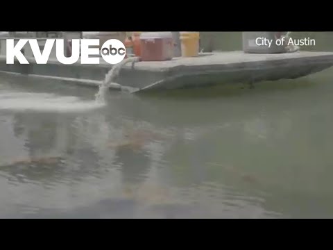 Austin to begin toxic algae treatment at Lady Bird Lake