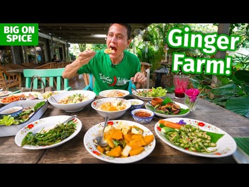 Thai Food Farm - 9 Dishes at Ginger Farm in Chiang Mai, Thailand!!