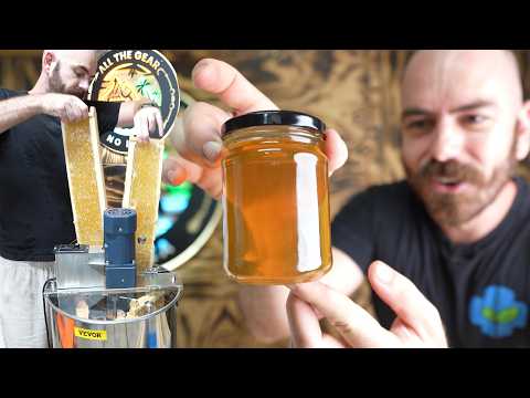 Harvesting My First Honey: Super Removal, Uncapping, Extraction and Jarring