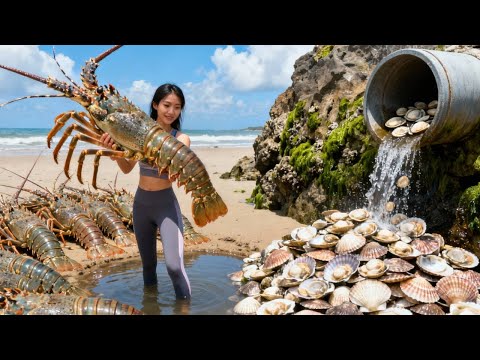 小章赶海疯狂上货,大龙虾比脸还大,遍地扇贝海螺轻松爆桶【赶海小章官方频道】