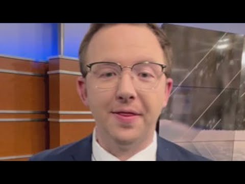 Iguanas falling from trees