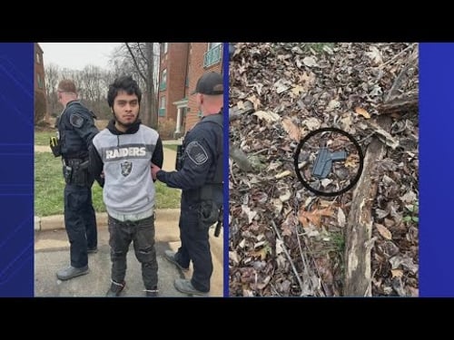 Murder suspect had been released from custody one day before police say he killed a man in Reston