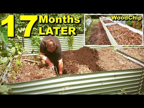 What Happens to Woodchips in the Base of a Raised Garden Bed?