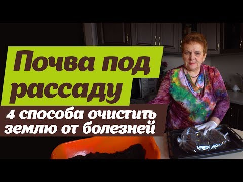 Обеззараживание грунта под рассаду Способы обработки почвы