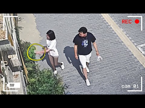 Они не Знали, Что Их Снимает Камера, и Сделали Это. 200 Невероятных Моментов