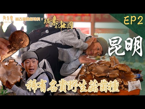 雲南昆明 稀有名貴野生菇菌種 食素後可以成功戒煙戒酒?|橫素全中國 | EP2| 敖嘉年 | HOY TV