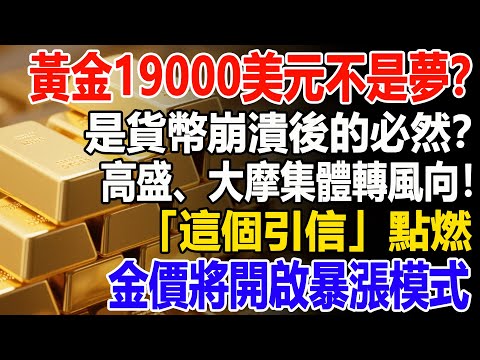 黃金19000美元不是夢?而是貨幣崩潰後的必然?高盛、大摩集體轉風向!一旦「這個引信」被點燃,金價將開啟失速暴漲模式。#黃金#高盛 #大摩 #財經#金價#投資#理財#晚年幸福#晚年生活#退休生活#退休