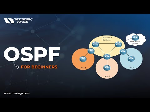 Ospf for beginners Hindi