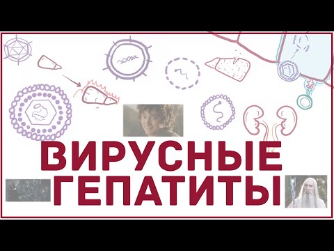 Вирусные гепатиты (A, B, C, D, E) - причины, симптомы, диагностика, серология