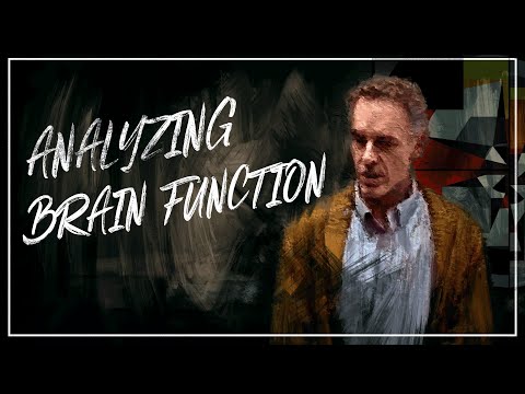 Analyzing Brain Function | Jordan B. Peterson
