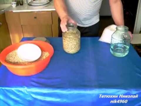 Mycelium production technology. Part 1. Grain preparation