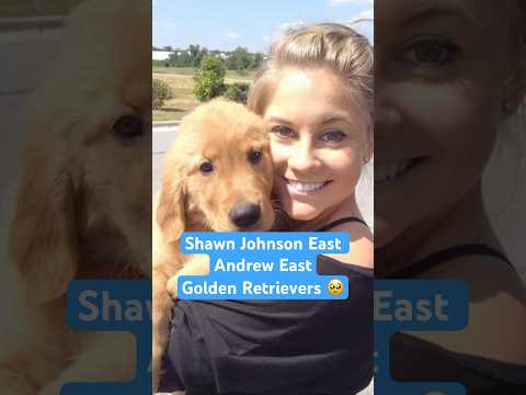 Dogs enrich our lives in countless ways. and share their affection for Golden Retrievers 🐶❤️