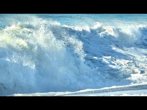 Painting a Loose Seascape in Acrylics | Set yourself Free from Details!!