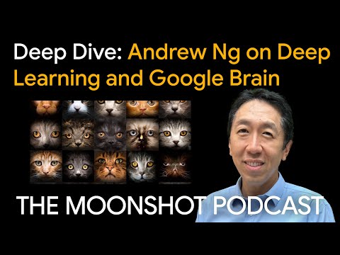 The Moonshot Podcast Deep Dive: Andrew Ng on Deep Learning and Google Brain