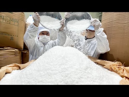 Amazing natural salt production process at the largest salt factory in korea - Korean food factory