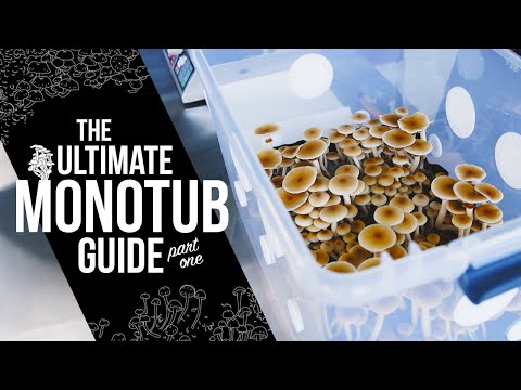 How to Build a Monotub | Step-by-Step DIY Guide for Indoor Mushroom Growing | Monotub Tek | (Part 1)