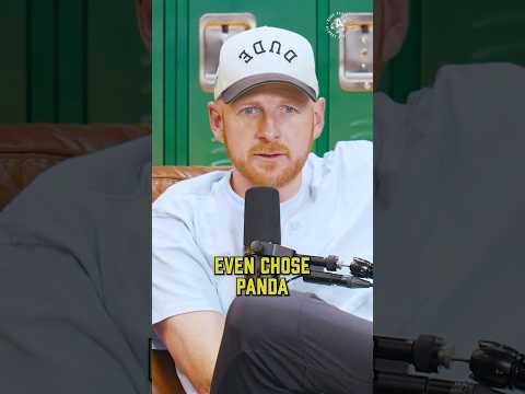 PANDA REVEAL?! 👀🫨