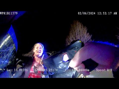 Simple Traffic Stop Turns into 15 Charges