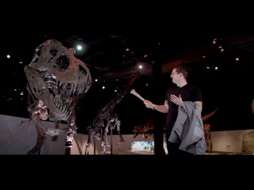 HMNS Magician Ben Jackson - All Commercials