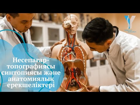 Несепағар - топографиясы, синтопиясы және анатомиялық ерекшеліктері