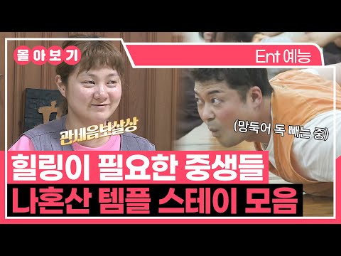 【#TVPP】 힐링이 필요한 중생들 나혼산 템플스테이 모음.ZIP | 나혼자산다 | TVPP | MBC 160212 방송 외