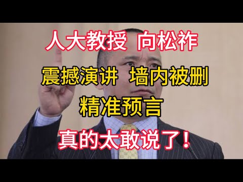 【人大教授 向松祚】震撼演讲,墙内被删,精准预言,真的太敢说了!