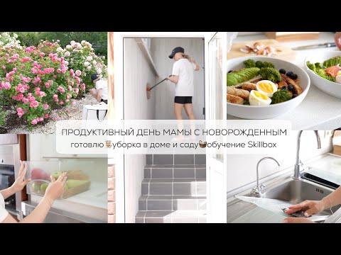 ПРОДУКТИВНЫЙ ДЕНЬ МАМЫ С НОВОРОЖДЕННЫМ| готовлю, уборка в доме и в саду, обучение Skillbox