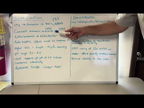 Wastewater Nitrification & Denitrification | BNR Exam Prep & Operator Scenarios Part 1