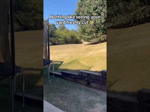 Love When The Grass Is Freshly Cut ✨