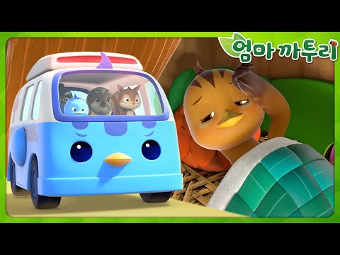 엄마 까투리 | S5 | 전체 이야기 이어보기 | 모아보기 연속보기❤️