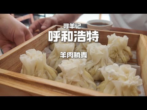 到底是稍麦还是烧麦?好吃最重要#呼和浩特美食 #烧麦 #稍麦 #羊肉#food #chinesefood