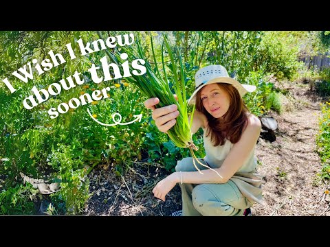 5 Years Into Our Food Forest - What I Wish I Knew About Woodchips