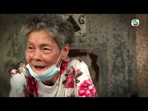 TVB 星期日檔案|難養天年 (繁/簡字幕)| 無綫新聞 TVB News