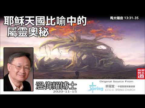 耶穌天國比喻中的屬靈奧秘 (馬太福音13:31-35) - 溫偉耀博士