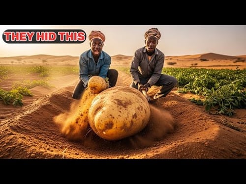 Shock: Burkina Faso’s Sahel Potatoes—What They Don’t Want You to Notice