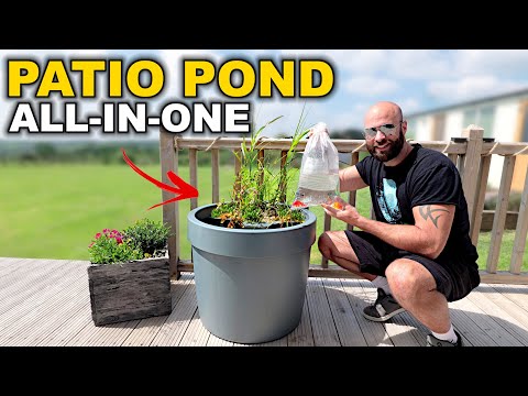 My First Pond: ALL-IN-ONE Patio Pond Kit