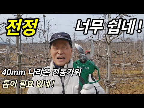 사과나무 수형에따라 전정하는 방법이 다르다 I 40mm 나리온 전동가위, 톱이 필요 없네!