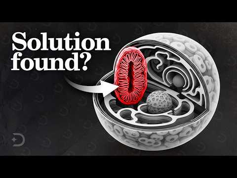 The Fermi Paradox Has A Horrifying Answer