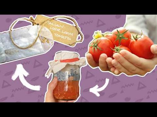 How to Save Tomato Seeds