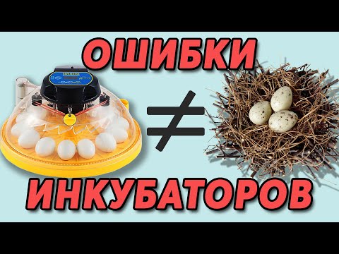 SCHOOL INCUBATOR to produce No. 16 | Your mistakes in homemade egg incubators. To be continued ...