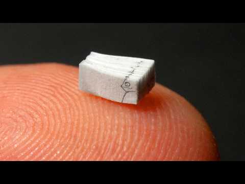 Animator vs. Microscopic Flipbook