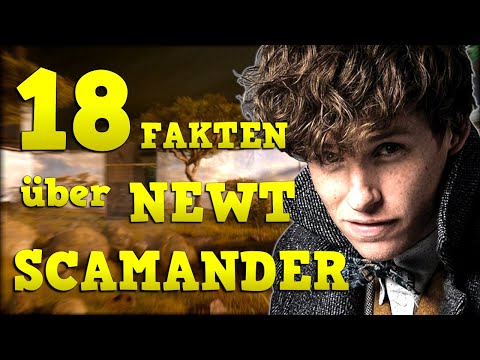 Mehr als 18 FAKTEN über NEWT SCAMANDER 🐾