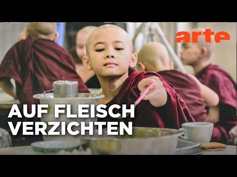 Vegetarismus: Fleischlos glücklich? Trend oder Tradition? | Doku HD | ARTE
