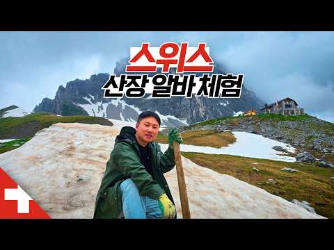 알프스 산골짜기 산장에서의 2박3일 극한 알바 【스위스1】