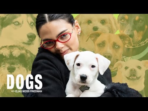 Ariana Greenblatt Uses MAGIC To Make Puppies Appear