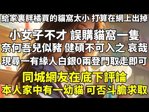 給家裏胖橘買的貓窩太小,打算在網上出掉。【小女子不才,誤購貓窩一隻,奈何吾兒似豬,健碩不可入之,哀哉!現尋一有緣人,白銀 0 兩登門取走即可!】同城網友在底下評論